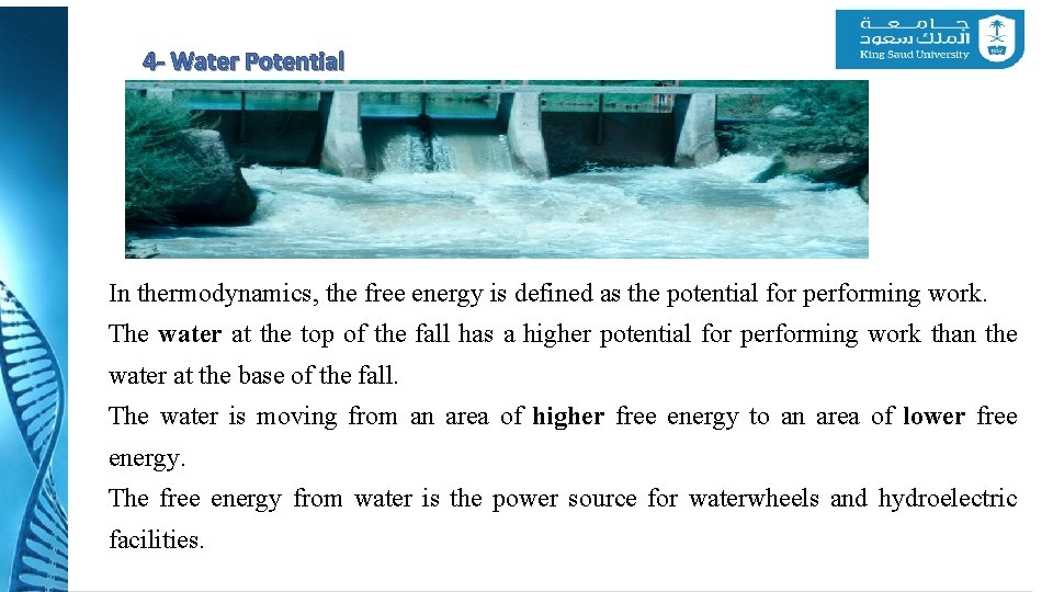 4 - Water Potential In thermodynamics, the free energy is defined as the potential