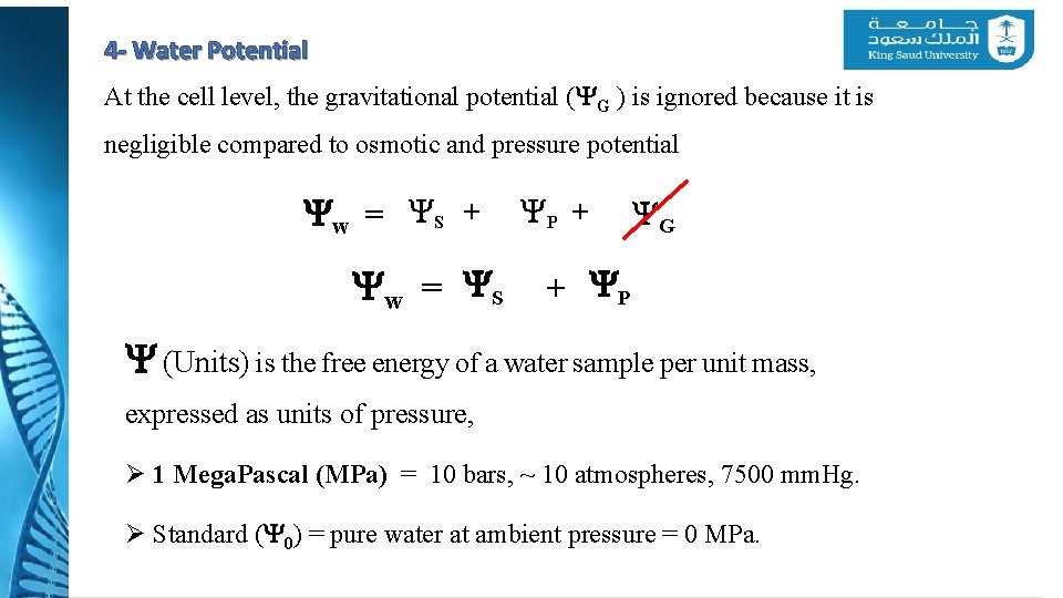 4 - Water Potential At the cell level, the gravitational potential (YG ) is