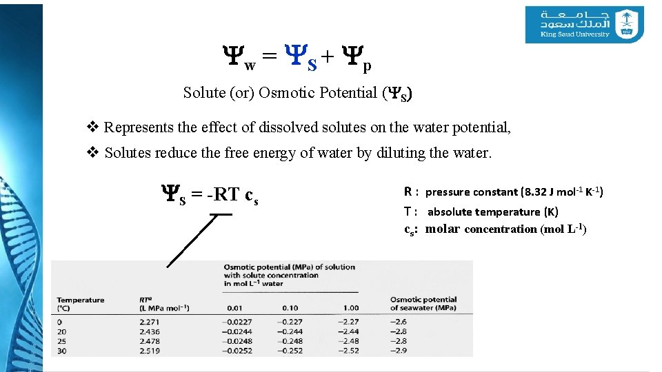 Yw = YS + Yp Solute (or) Osmotic Potential (YS) v Represents the effect