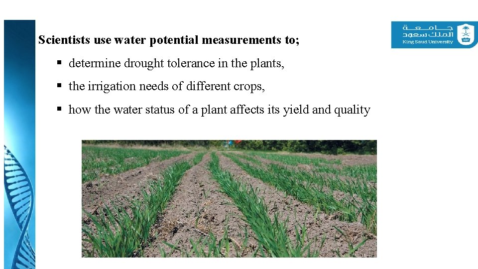 Scientists use water potential measurements to; § determine drought tolerance in the plants, §