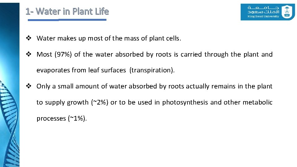 1 - Water in Plant Life v Water makes up most of the mass