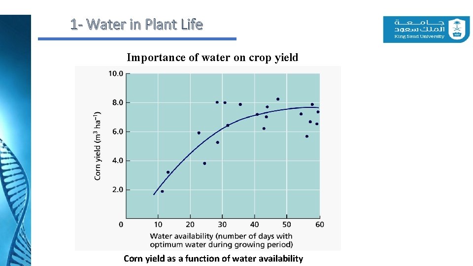 1 - Water in Plant Life Importance of water on crop yield Corn yield