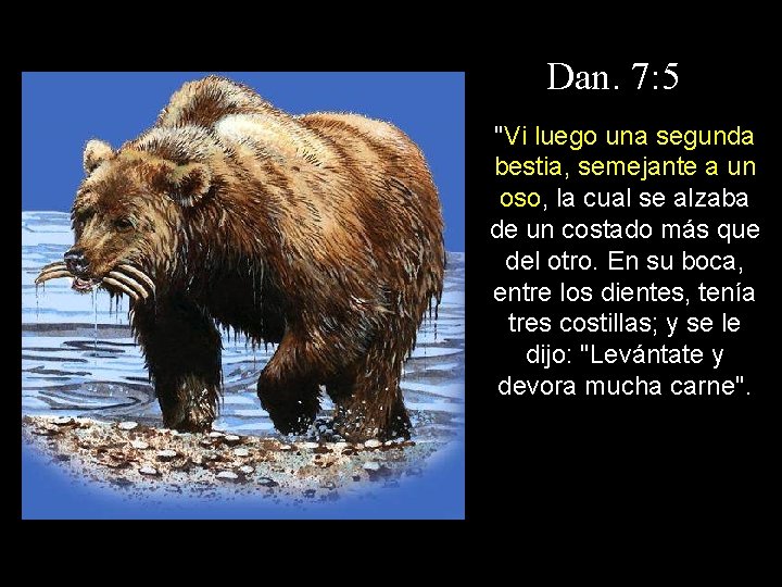 Dan. 7: 5 "Vi luego una segunda bestia, semejante a un oso, la cual