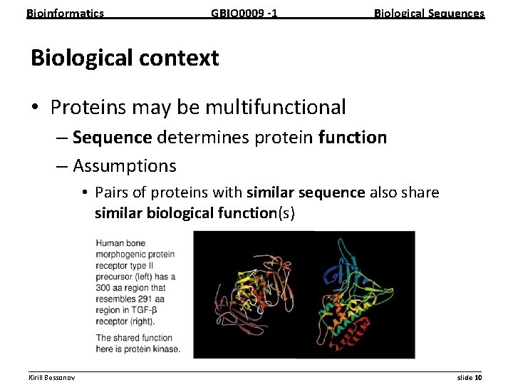 Bioinformatics GBIO 0009 1 Biological Sequences Biological context • Proteins may be multifunctional –