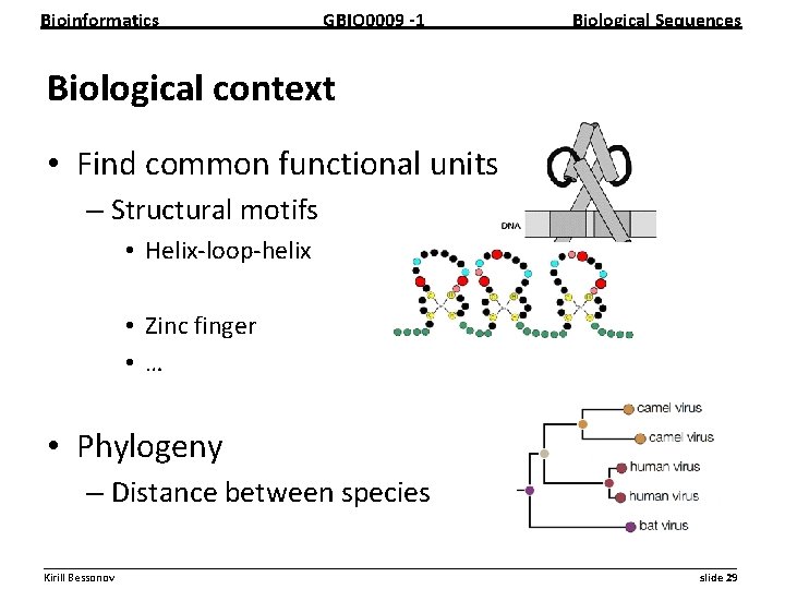Bioinformatics GBIO 0009 1 Biological Sequences Biological context • Find common functional units –