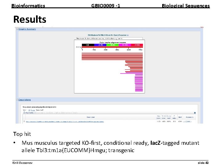 Bioinformatics GBIO 0009 1 Biological Sequences Results Top hit • Mus musculus targeted KO