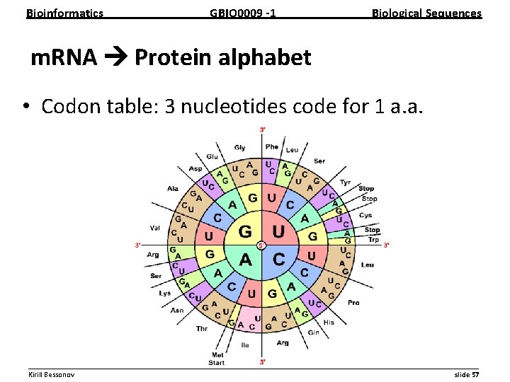 Bioinformatics GBIO 0009 1 Biological Sequences m. RNA Protein alphabet • Codon table: 3