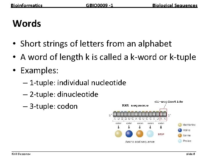 Bioinformatics GBIO 0009 1 Biological Sequences Words • Short strings of letters from an
