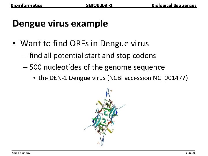 Bioinformatics GBIO 0009 1 Biological Sequences Dengue virus example • Want to find ORFs