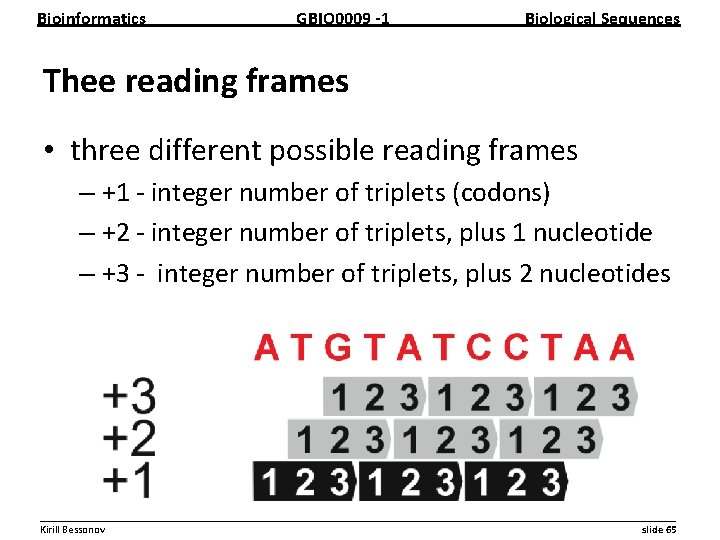 Bioinformatics GBIO 0009 1 Biological Sequences Thee reading frames • three different possible reading