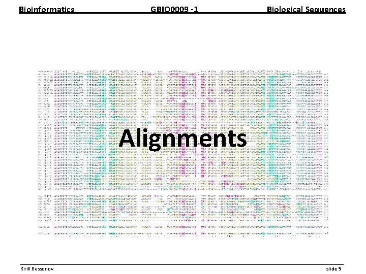 Bioinformatics GBIO 0009 1 Biological Sequences Alignments __________________________________________________________ Kirill Bessonov slide 9 