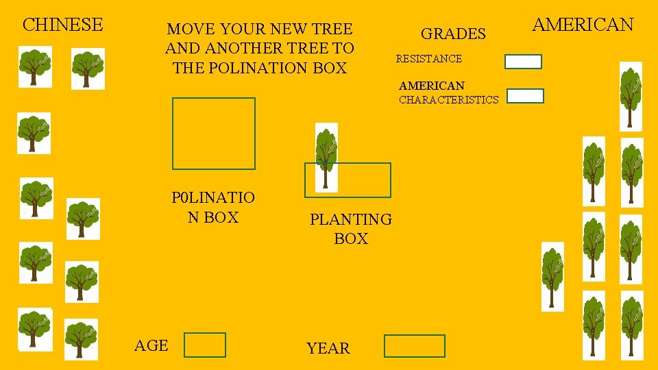 CHINESE MOVE YOUR NEW TREE AND ANOTHER TREE TO THE POLINATION BOX GRADES RESISTANCE
