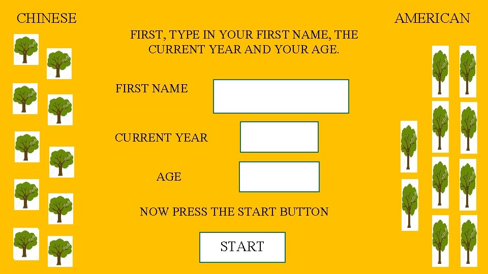 CHINESE AMERICAN FIRST, TYPE IN YOUR FIRST NAME, THE CURRENT YEAR AND YOUR AGE.