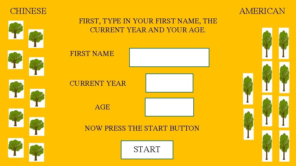 CHINESE AMERICAN FIRST, TYPE IN YOUR FIRST NAME, THE CURRENT YEAR AND YOUR AGE.