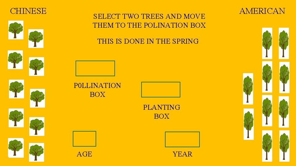 CHINESE SELECT TWO TREES AND MOVE THEM TO THE POLINATION BOX THIS IS DONE