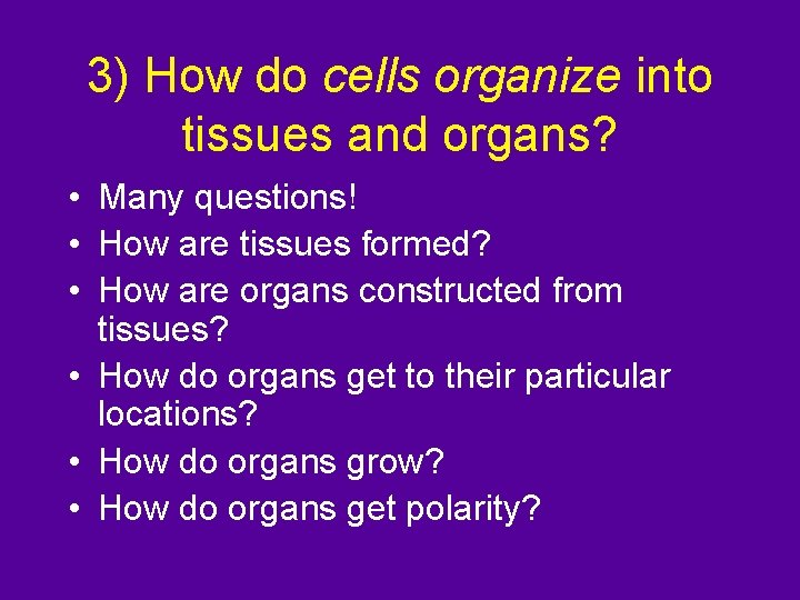3) How do cells organize into tissues and organs? • Many questions! • How