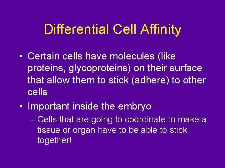 Differential Cell Affinity • Certain cells have molecules (like proteins, glycoproteins) on their surface