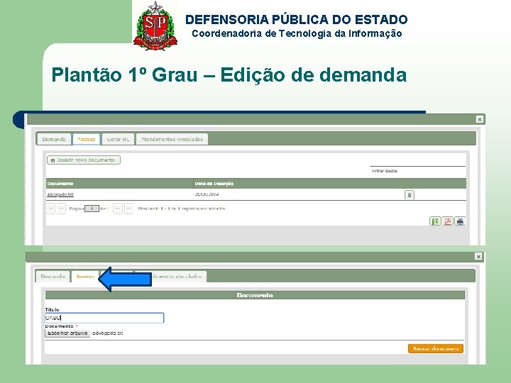 DEFENSORIA PÚBLICA DO ESTADO Coordenadoria de Tecnologia da Informação Plantão 1º Grau – Edição