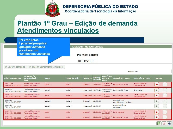 DEFENSORIA PÚBLICA DO ESTADO Coordenadoria de Tecnologia da Informação Plantão 1º Grau – Edição