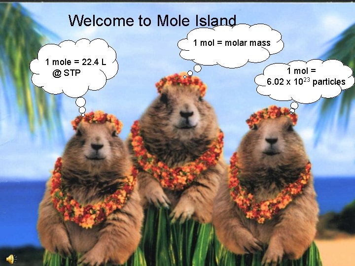 Welcome to Mole Island 1 mol = molar mass 1 mole = 22. 4