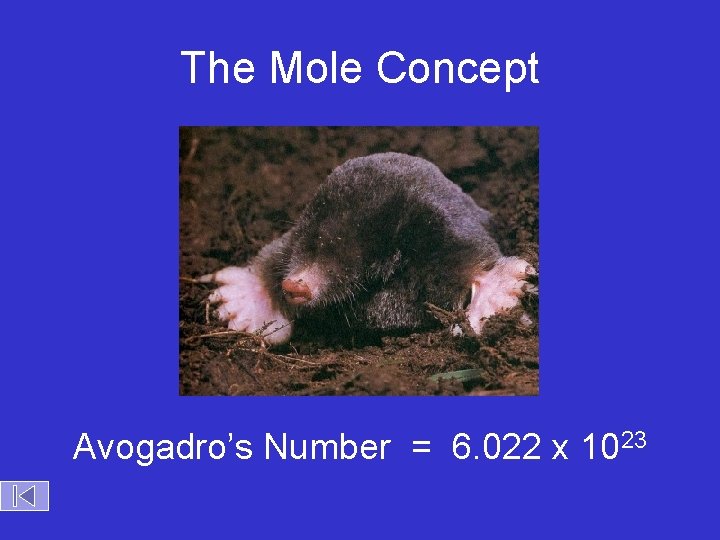 The Mole Concept Avogadro’s Number = 6. 022 x 1023 