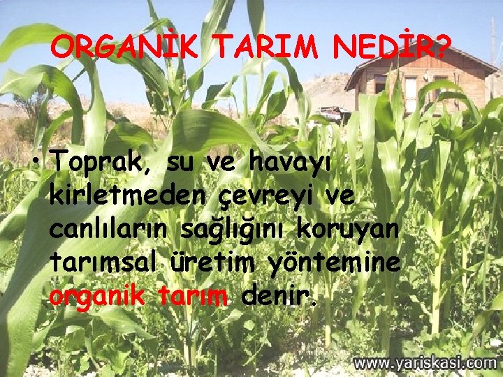 ORGANİK TARIM NEDİR? • Toprak, su ve havayı kirletmeden çevreyi ve canlıların sağlığını koruyan