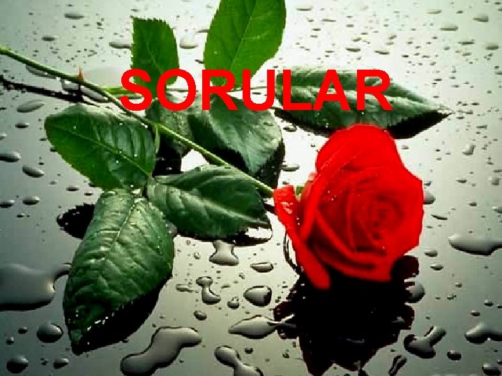 SORULAR 