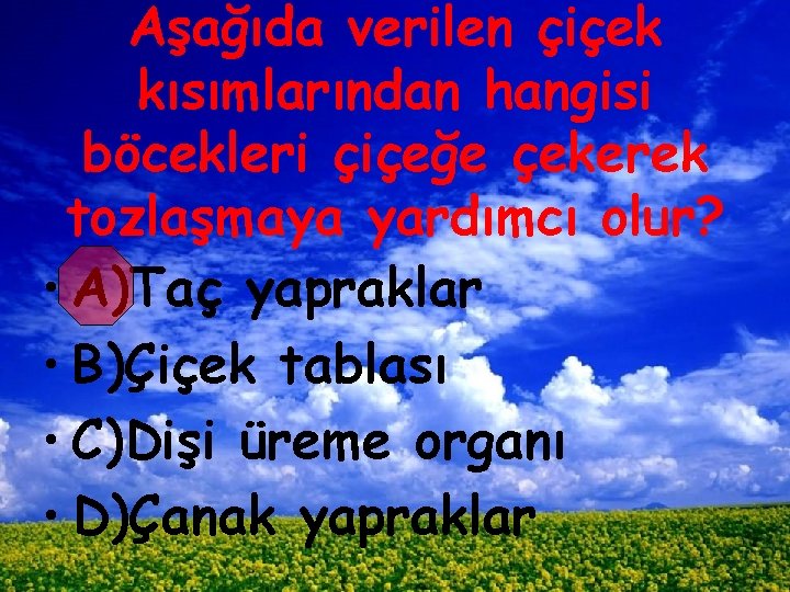 Aşağıda verilen çiçek kısımlarından hangisi böcekleri çiçeğe çekerek tozlaşmaya yardımcı olur? • A)Taç yapraklar