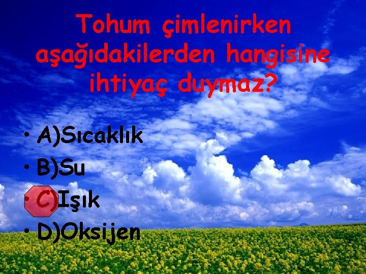 Tohum çimlenirken aşağıdakilerden hangisine ihtiyaç duymaz? • A)Sıcaklık • B)Su • C)Işık • D)Oksijen
