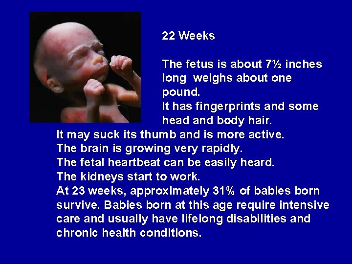 22 Weeks The fetus is about 7½ inches long weighs about one pound. It