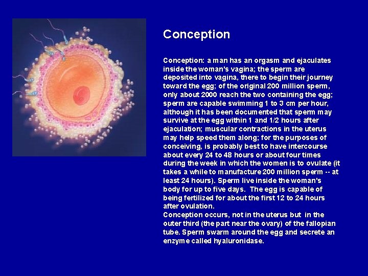 Conception: a man has an orgasm and ejaculates inside the woman's vagina; the sperm