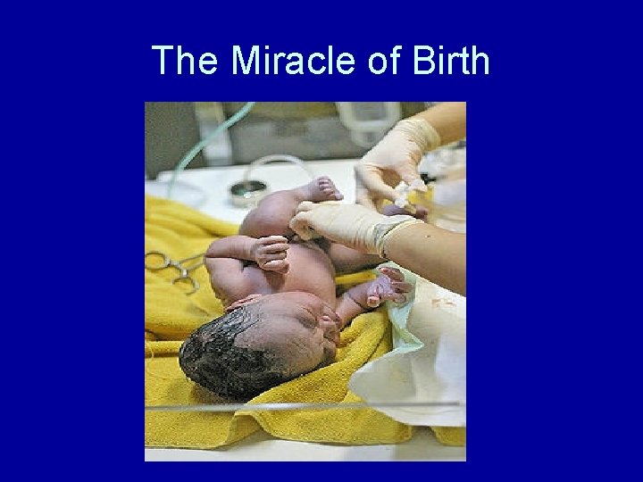 The Miracle of Birth 