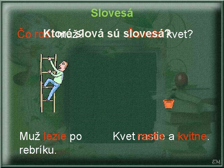 Slovesá Ktoré slová sú slovesá? Čo robí muž? Čo robí kvet? Muž lezie po Slovesá Ktoré slová sú slovesá? Čo robí muž? Čo robí kvet? Muž lezie po
