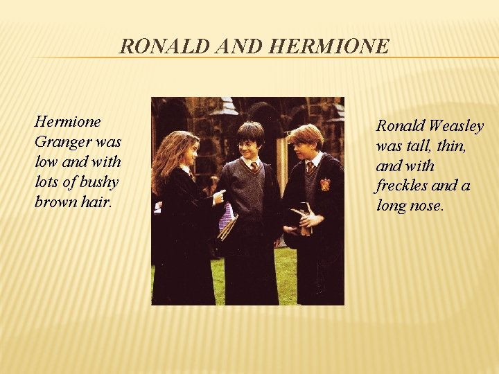 RONALD AND HERMIONE Hermione Granger was low and with lots of bushy brown hair. RONALD AND HERMIONE Hermione Granger was low and with lots of bushy brown hair.