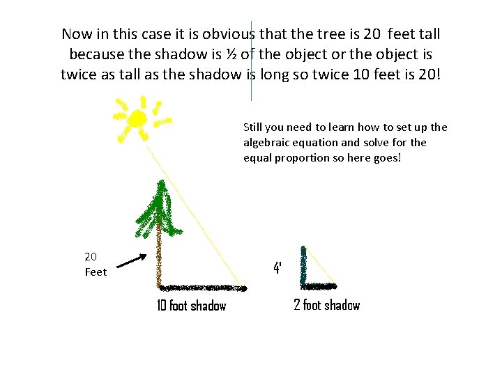 Now in this case it is obvious that the tree is 20 feet tall