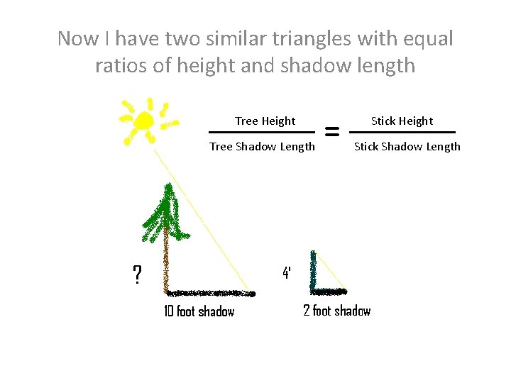 Now I have two similar triangles with equal ratios of height and shadow length