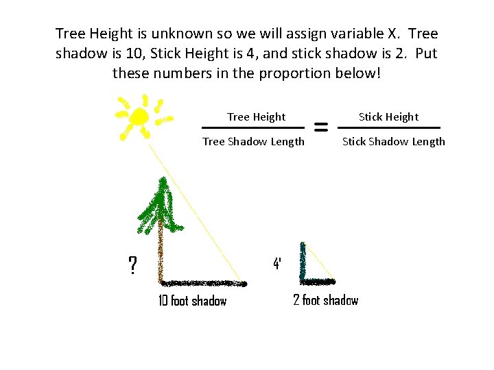 Tree Height is unknown so we will assign variable X. Tree shadow is 10,