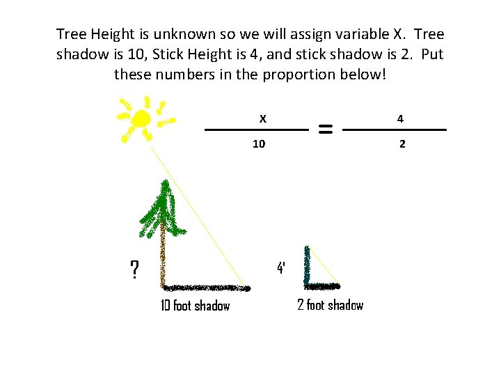 Tree Height is unknown so we will assign variable X. Tree shadow is 10,