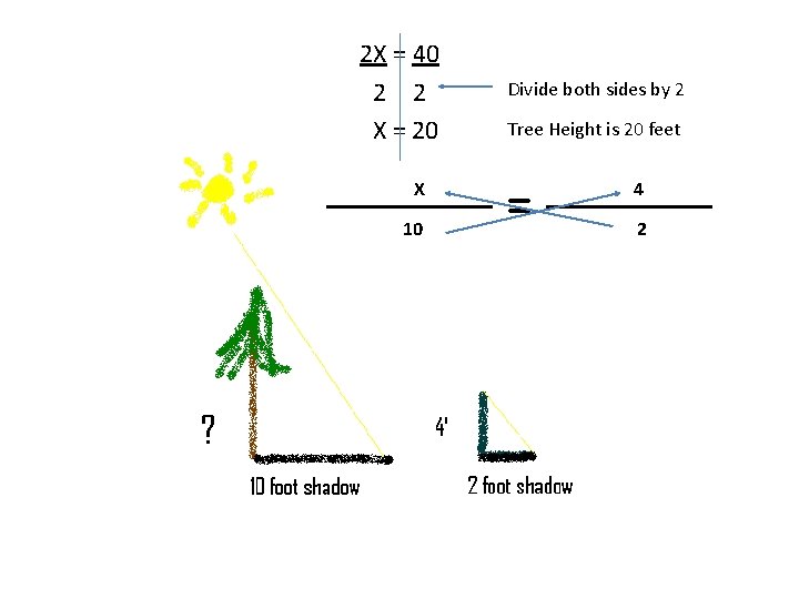 2 X = 40 2 2 X = 20 X 10 Divide both sides