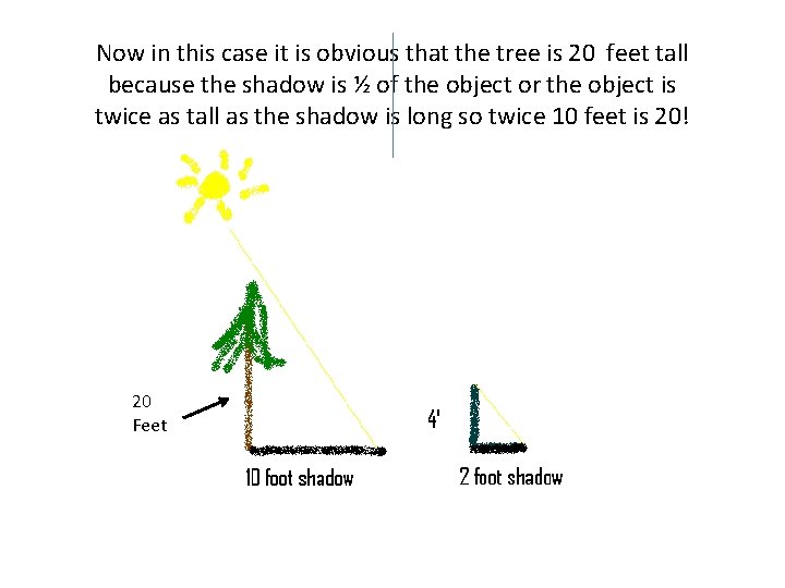 Now in this case it is obvious that the tree is 20 feet tall