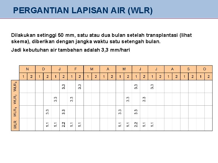 PERGANTIAN LAPISAN AIR (WLR) Dilakukan setinggi 50 mm, satu atau dua bulan setelah transplantasi