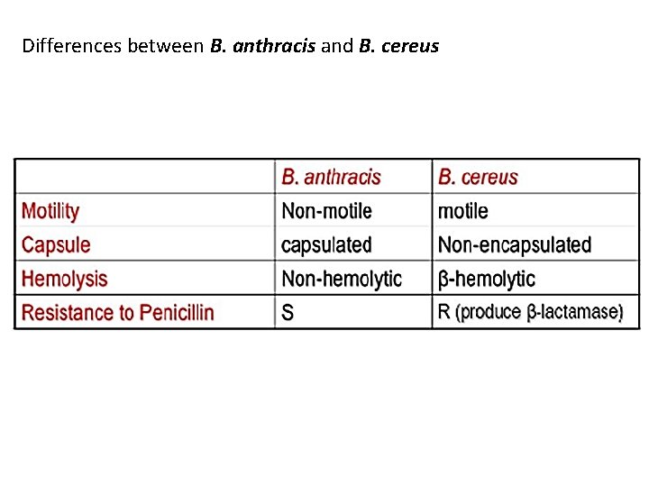 Differences between B. anthracis and B. cereus 