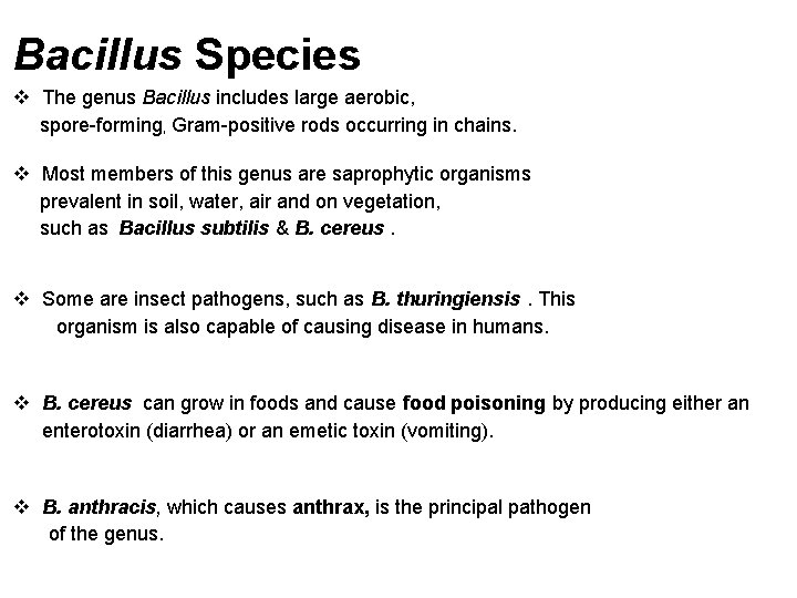 Bacillus Species The genus Bacillus includes large aerobic, spore-forming, Gram-positive rods occurring in chains.
