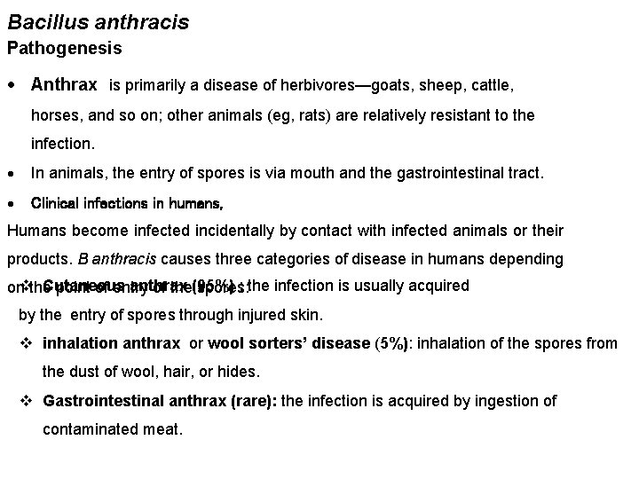 Bacillus anthracis Pathogenesis Anthrax is primarily a disease of herbivores—goats, sheep, cattle, horses, and