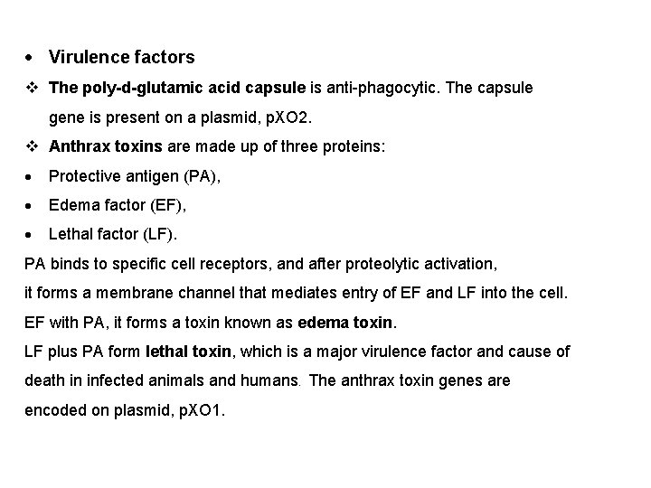  Virulence factors The poly-d-glutamic acid capsule is anti-phagocytic. The capsule gene is present