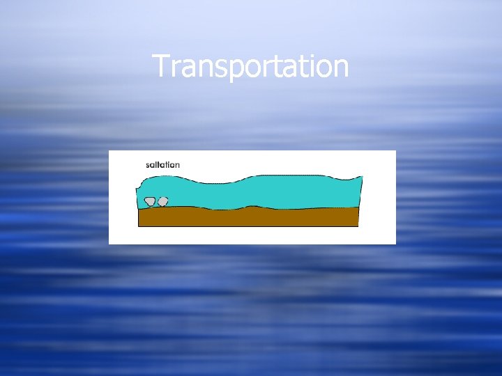 Transportation 