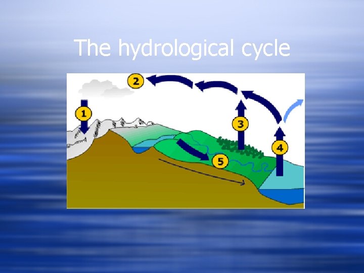 The hydrological cycle 