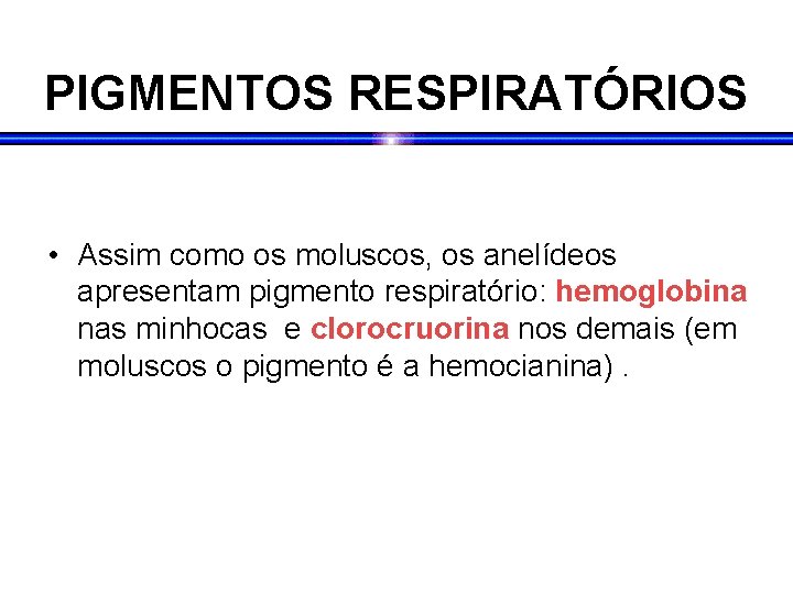 PIGMENTOS RESPIRATÓRIOS • Assim como os moluscos, os anelídeos apresentam pigmento respiratório: hemoglobina nas