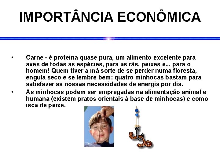 IMPORT NCIA ECONÔMICA • • Carne - é proteína quase pura, um alimento excelente