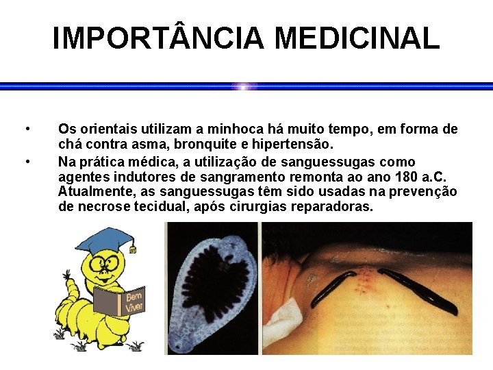 IMPORT NCIA MEDICINAL • • Os orientais utilizam a minhoca há muito tempo, em